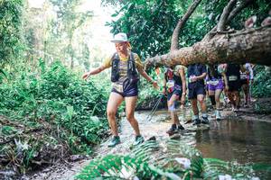 BIB: 
                            <button type="button" onclick="openModal(25462109)" class="btn btn-primary btn-sm float-right btn-popup" data-toggle="modal" data-target=".modal-high-quality">
                        <i class="fas fa-shopping-cart"></i> Add to Cart
                    </button>
                                            <button type="button" onclick="isThisMe(25462109, true)" class="btn btn-success btn-sm float-right btn-popup btn-isme hidden" data-toggle="tooltip" data-placement="bottom" title="นี่คือรูปของคุณใช่ไหม คลิกที่นี่เพื่อเอาเข้าอัลบั้ม">
                        <i class="fas fa-plus"></i> Add to album
                    </button>
                    <button type="button" onclick="isThisMe(25462109, false)" class="btn btn-warning btn-sm float-right btn-popup btn-isnotme hidden">
                        <i class="fas fa-ban"></i> Remove from album
                    </button>